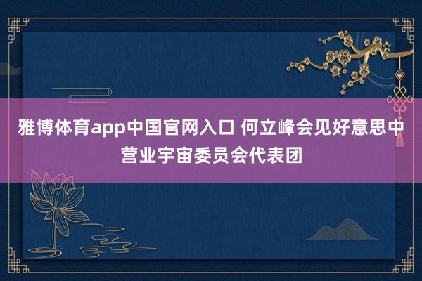 雅博体育app中国官网入口 何立峰会见好意思中营业宇宙委员会代表团