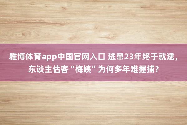 雅博体育app中国官网入口 逃窜23年终于就逮，东谈主估客“梅姨”为何多年难握捕？
