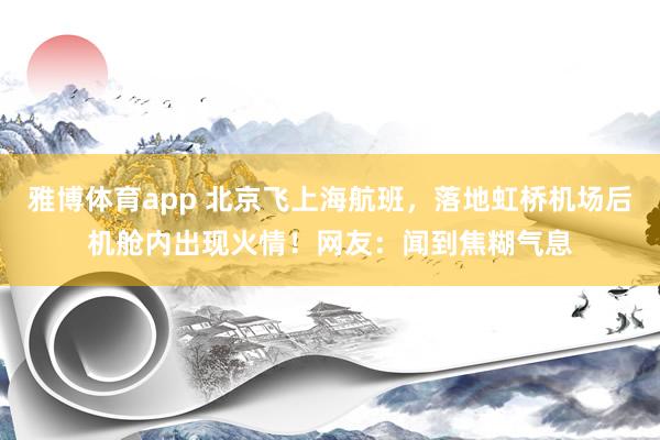 雅博体育app 北京飞上海航班，落地虹桥机场后机舱内出现火情！网友：闻到焦糊气息