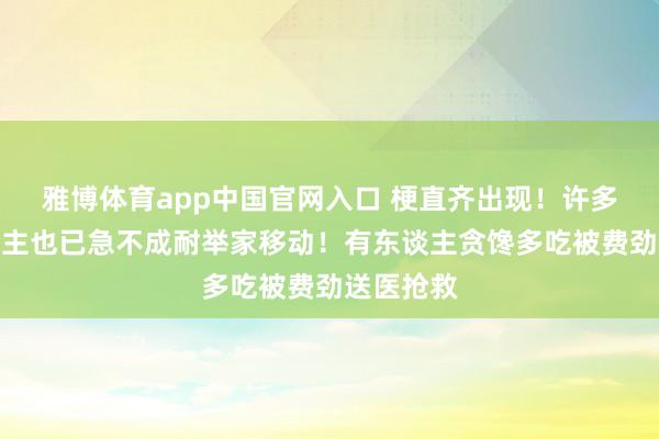 雅博体育app中国官网入口 梗直齐出现！许多上海东谈主也已急不成耐举家移动！有东谈主贪馋多吃被费劲送医抢救