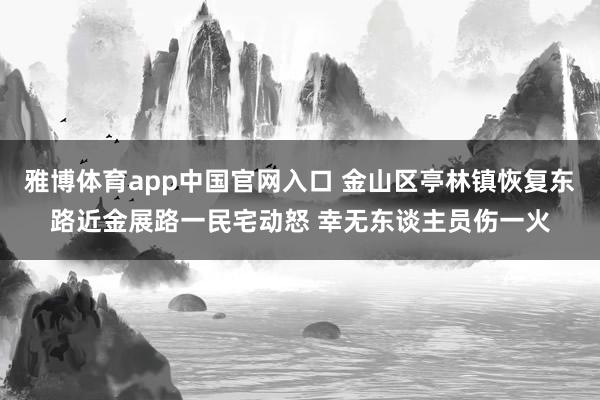 雅博体育app中国官网入口 金山区亭林镇恢复东路近金展路一民宅动怒 幸无东谈主员伤一火