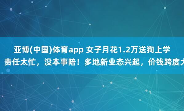 亚博(中国)体育app 女子月花1.2万送狗上学：责任太忙，没本事陪！多地新业态兴起，价钱跨度大