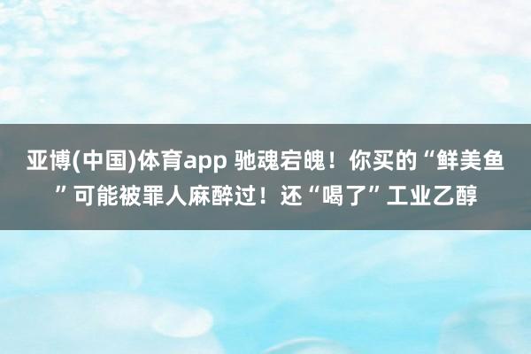 亚博(中国)体育app 驰魂宕魄！你买的“鲜美鱼”可能被罪人麻醉过！还“喝了”工业乙醇