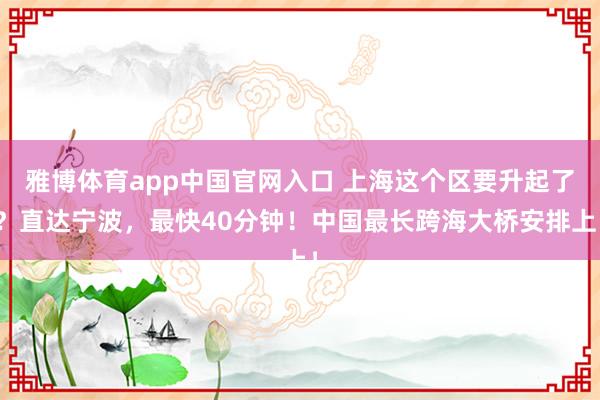 雅博体育app中国官网入口 上海这个区要升起了？直达宁波，最快40分钟！中国最长跨海大桥安排上！