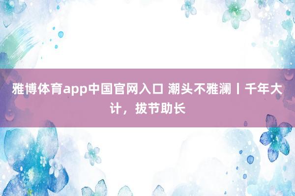 雅博体育app中国官网入口 潮头不雅澜丨千年大计，拔节助长