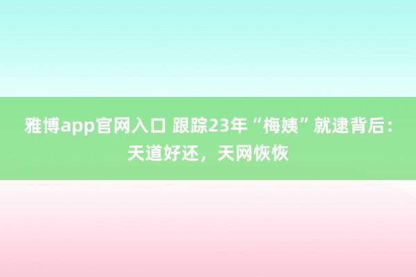 雅博app官网入口 跟踪23年“梅姨”就逮背后：天道好还，天网恢恢