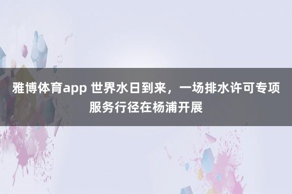 雅博体育app 世界水日到来，一场排水许可专项服务行径在杨浦开展