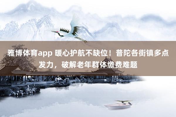 雅博体育app 暖心护航不缺位!普陀各街镇多点发力,破解老年群体缴费难题