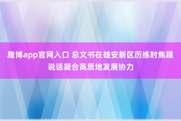 雅博app官网入口 总文书在雄安新区历练时焦躁说话凝合高质地发展协力
