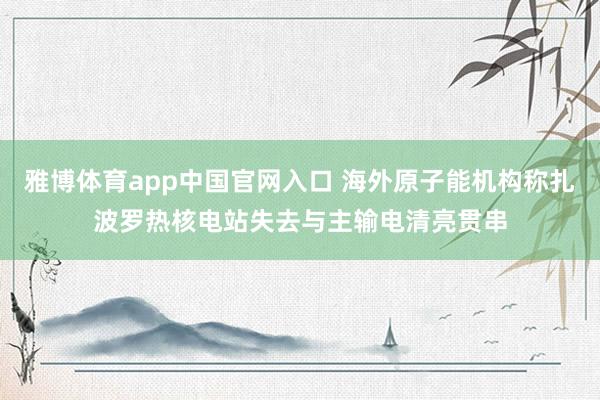 雅博体育app中国官网入口 海外原子能机构称扎波罗热核电站失去与主输电清亮贯串