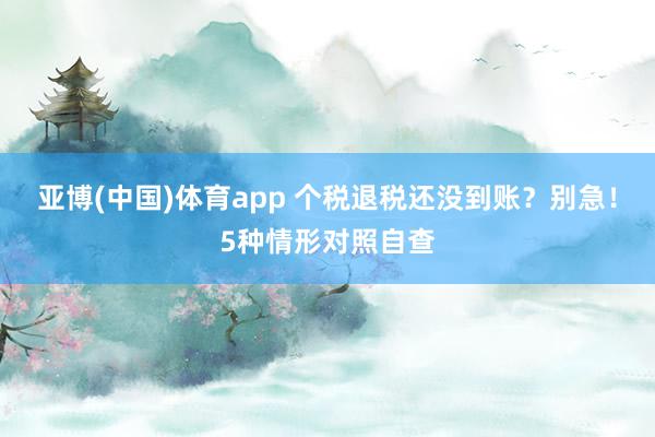 亚博(中国)体育app 个税退税还没到账？别急！5种情形对照自查