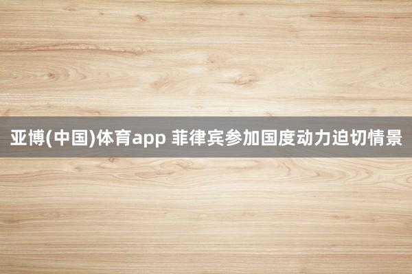 亚博(中国)体育app 菲律宾参加国度动力迫切情景