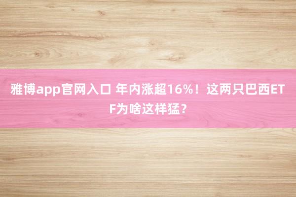 雅博app官网入口 年内涨超16%！这两只巴西ETF为啥这样猛？