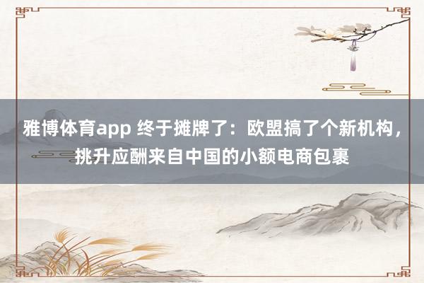 雅博体育app 终于摊牌了：欧盟搞了个新机构，挑升应酬来自中国的小额电商包裹