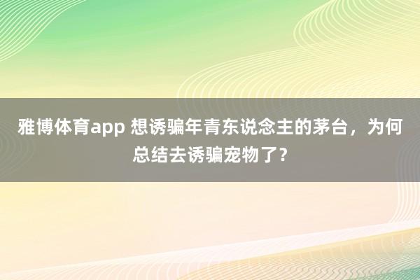 雅博体育app 想诱骗年青东说念主的茅台，为何总结去诱骗宠物了？