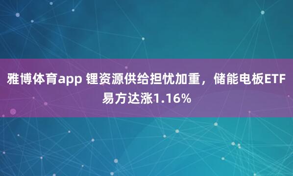 雅博体育app 锂资源供给担忧加重,储能电板ETF易方达涨1.16%