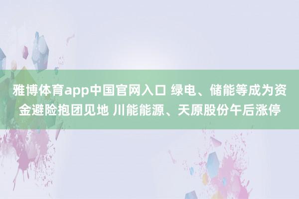 雅博体育app中国官网入口 绿电、储能等成为资金避险抱团见地 川能能源、天原股份午后涨停