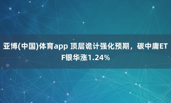 亚博(中国)体育app 顶层诡计强化预期，碳中庸ETF银华涨1.24%