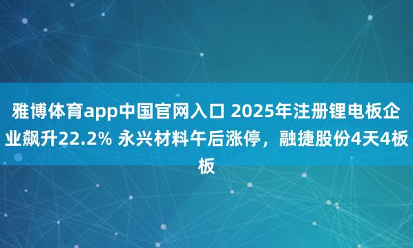 雅博体育app中国官网入口 2025年注册锂电板企业飙升22.2% 永兴材料午后涨停，融捷股份4天4板