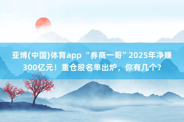亚博(中国)体育app “券商一哥”2025年净赚300亿元！重仓股名单出炉，你有几个？