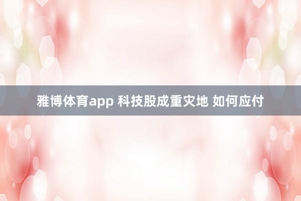 雅博体育app 科技股成重灾地 如何应付