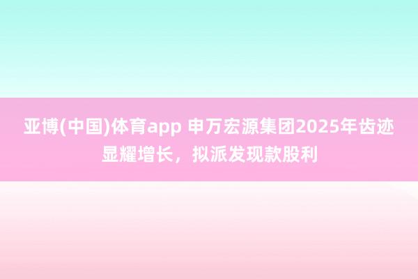亚博(中国)体育app 申万宏源集团2025年齿迹显耀增长，拟派发现款股利