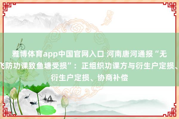 雅博体育app中国官网入口 河南唐河通报“无东谈主机飞防功课致鱼塘受损”：正组织功课方与衍生户定损、协商补偿