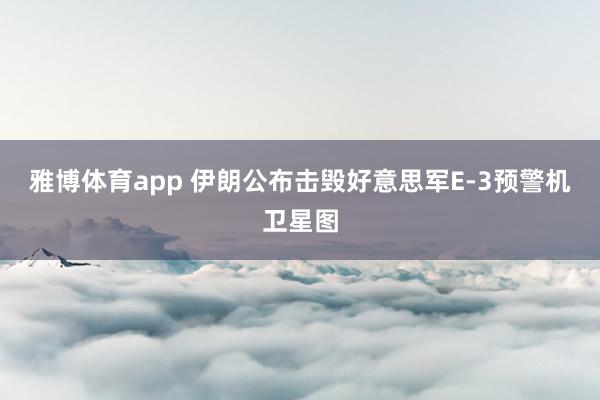 雅博体育app 伊朗公布击毁好意思军E-3预警机卫星图