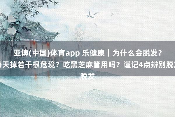 亚博(中国)体育app 乐健康｜为什么会脱发？每天掉若干根危境？吃黑芝麻管用吗？谨记4点辨别脱发