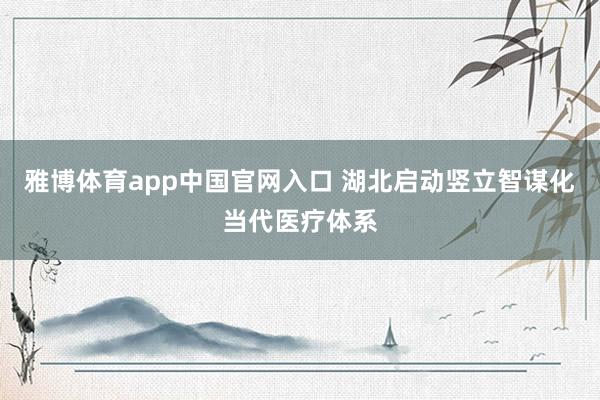 雅博体育app中国官网入口 湖北启动竖立智谋化当代医疗体系