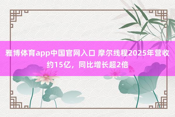 雅博体育app中国官网入口 摩尔线程2025年营收约15亿，同比增长超2倍