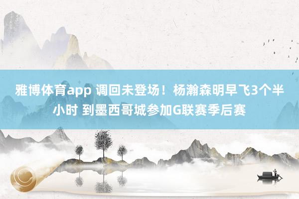 雅博体育app 调回未登场！杨瀚森明早飞3个半小时 到墨西哥城参加G联赛季后赛
