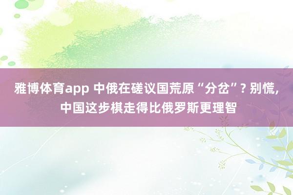 雅博体育app 中俄在磋议国荒原“分岔”? 别慌， 中国这步棋走得比俄罗斯更理智