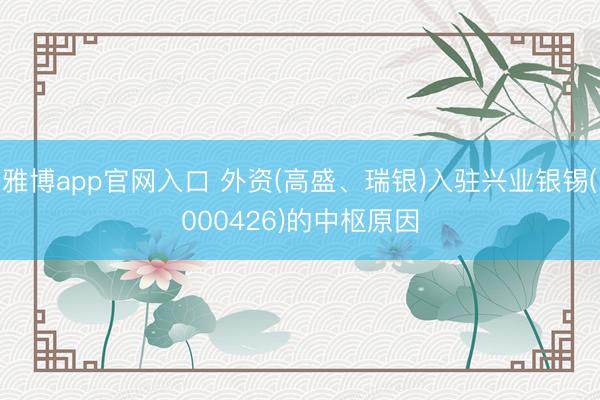 雅博app官网入口 外资(高盛、瑞银)入驻兴业银锡(000426)的中枢原因