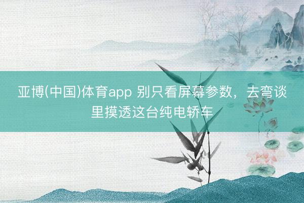 亚博(中国)体育app 别只看屏幕参数，去弯谈里摸透这台纯电轿车