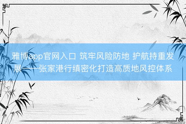 雅博app官网入口 筑牢风险防地 护航持重发展——张家港行缜密化打造高质地风控体系