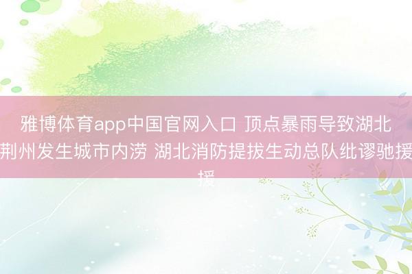 雅博体育app中国官网入口 顶点暴雨导致湖北荆州发生城市内涝
