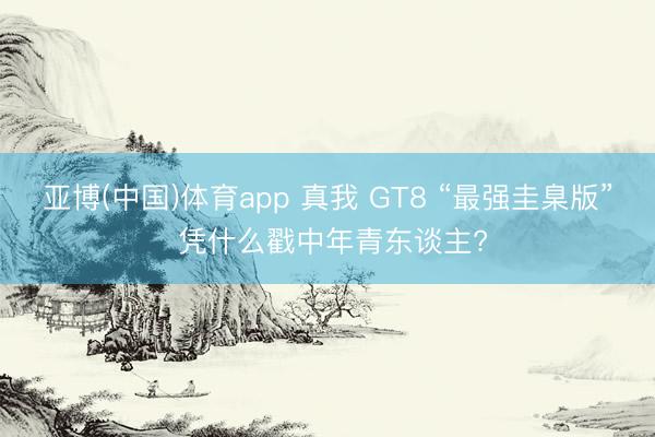 亚博(中国)体育app 真我 GT8 “最强圭臬版” 凭什么戳中年青东谈主?