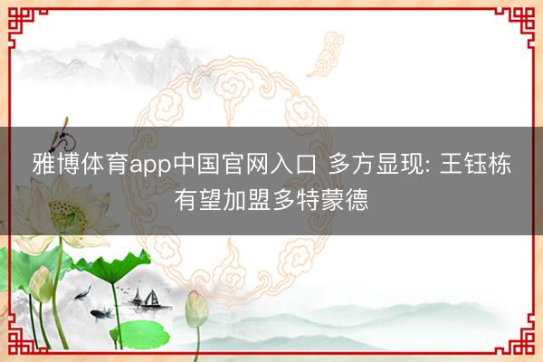 雅博体育app中国官网入口 多方显现: 王钰栋有望加盟多特蒙德